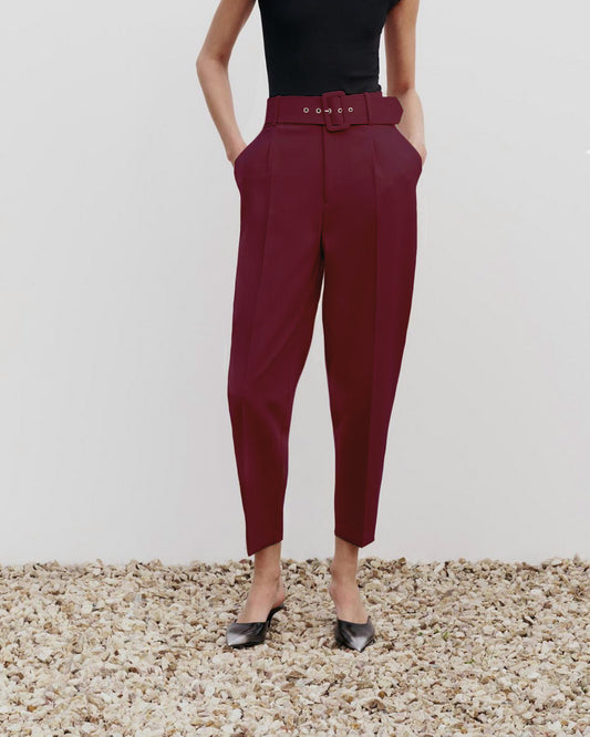 bottomwear,pants,formal, semi-formal,business outfit, urban fit, workwear,woven,polyester, spandex,maroon,pleated,belt,tailored fit,tapered,full lengthhig, h rise	25010046GG, OY942