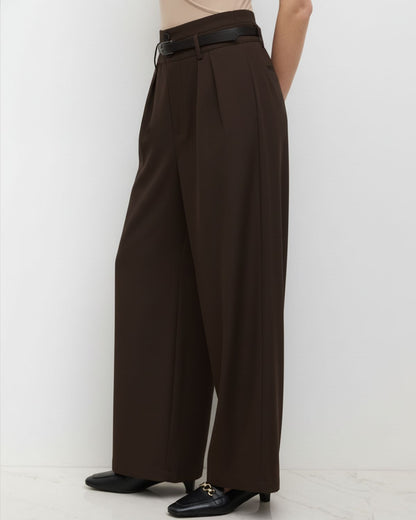 bottomwear,pants,semi-formal,business outfit,stretchable,polyester, spandex,dark brown,pleated,tailored fit,wide leg,full length,high rise, OY-959- DARK BROWN, 25090072GG