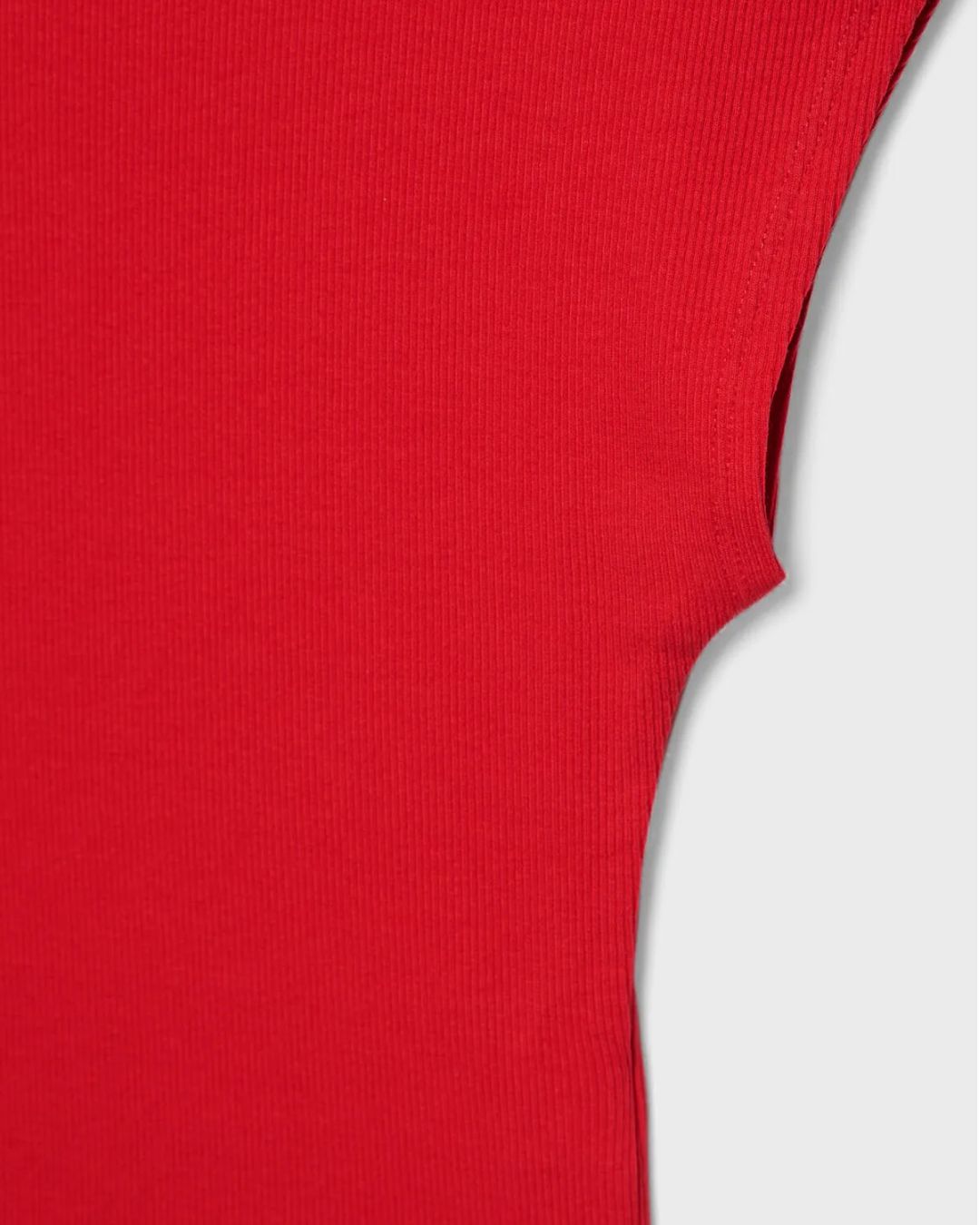 RIBBED FITTED TOP,Color: Red
Fabric: Ribbed
Fit: Slim Fit 
Length: Regular 
Neck: Crew Neck
Sleeves: Sleeveless
Print: Solid,topwear,tops,casual,streetwear,knitted,ribbed,red,solid,slim fit,fitted,regular,crew neck,sleeveless,suited for influencer,ribbed-fitted-top-red